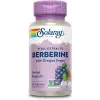 Berberine with Oregon Grape thumbnail